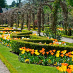 Bois-de-Boulogne